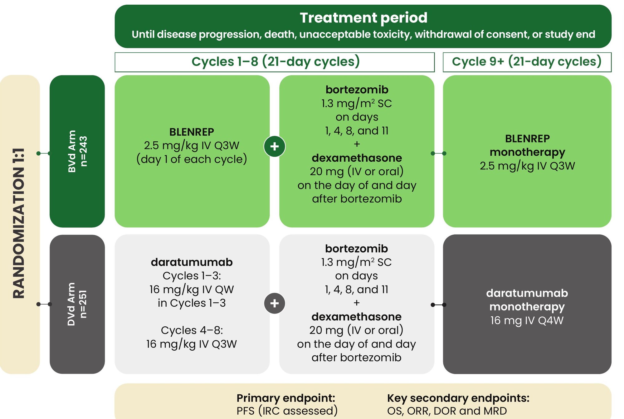 DREAMM-7 study design schematic showing BVd versus DVd arms, randomization, and treatment cycles.