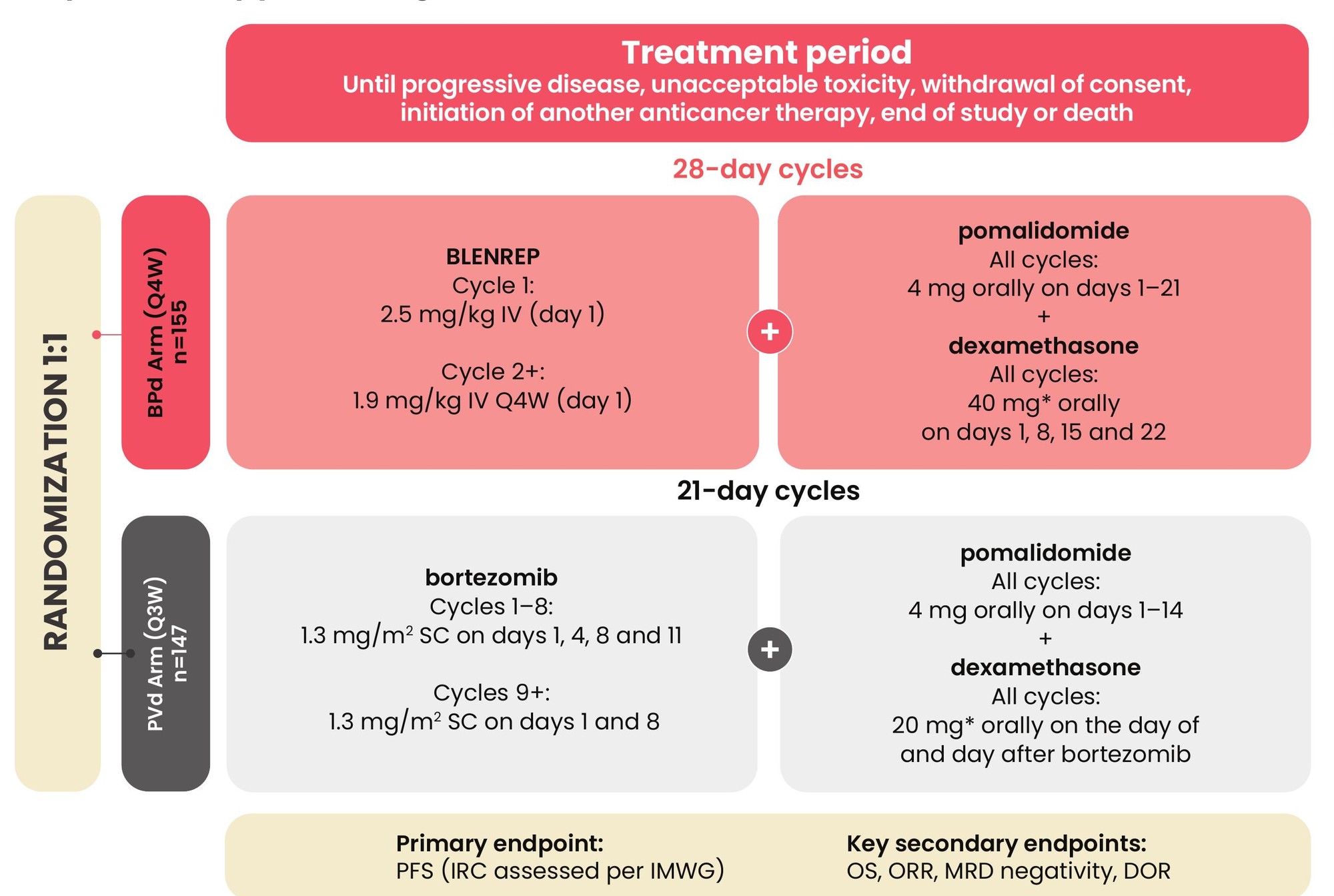 DREAMM-8 study design schematic showing BPd versus PVd arms, randomization, and treatment cycles.